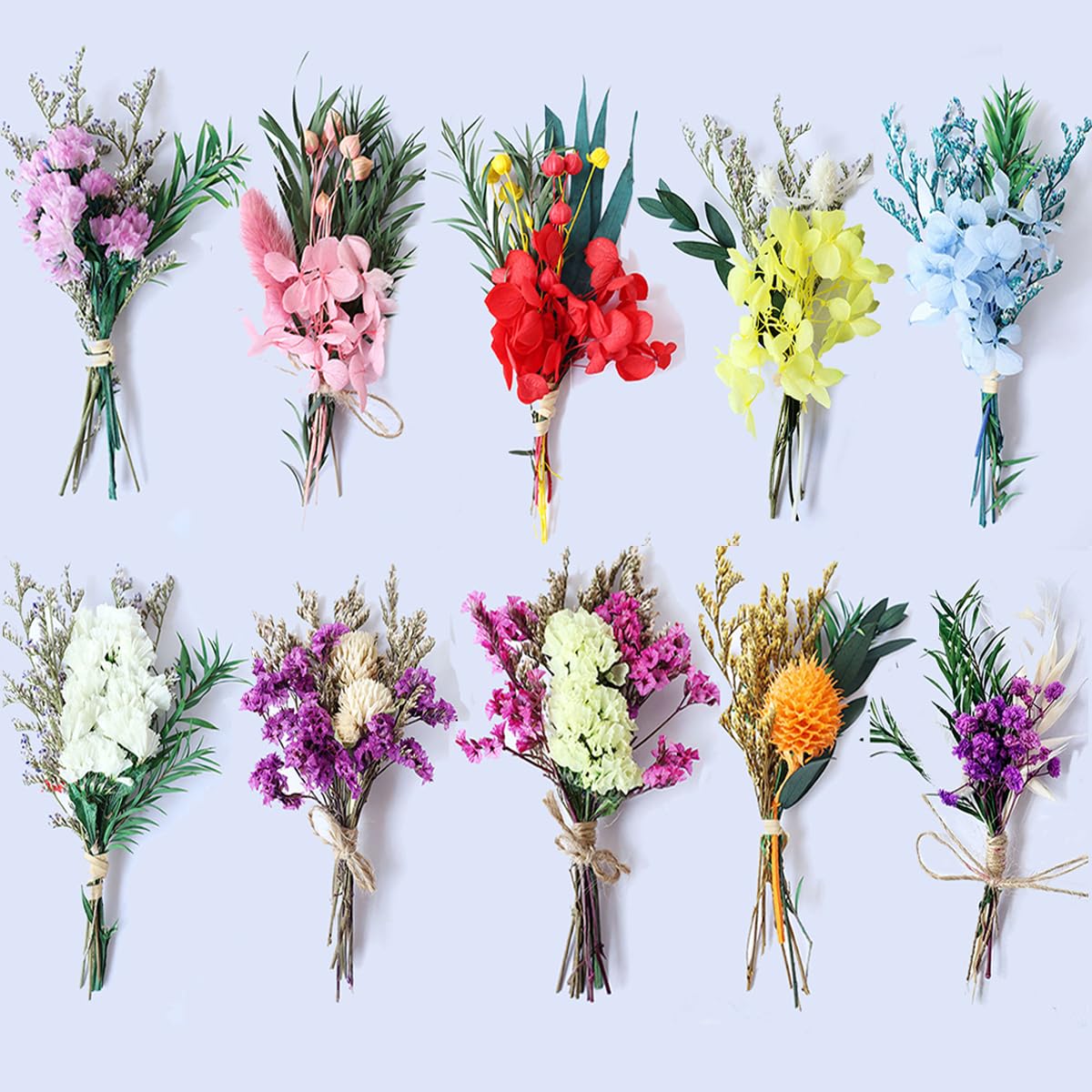 10 Bündel Trockenblumenstrauß Klein DIY Trockenblumen Mini Getrocknete Blumenstrauß Natürliche Getrocknete Blumen Trockenblumen zum Basteln für Kunst Handwerk Bilderrahmen Tägliche Heimdekoration Küche, Haushalt & Wohnen