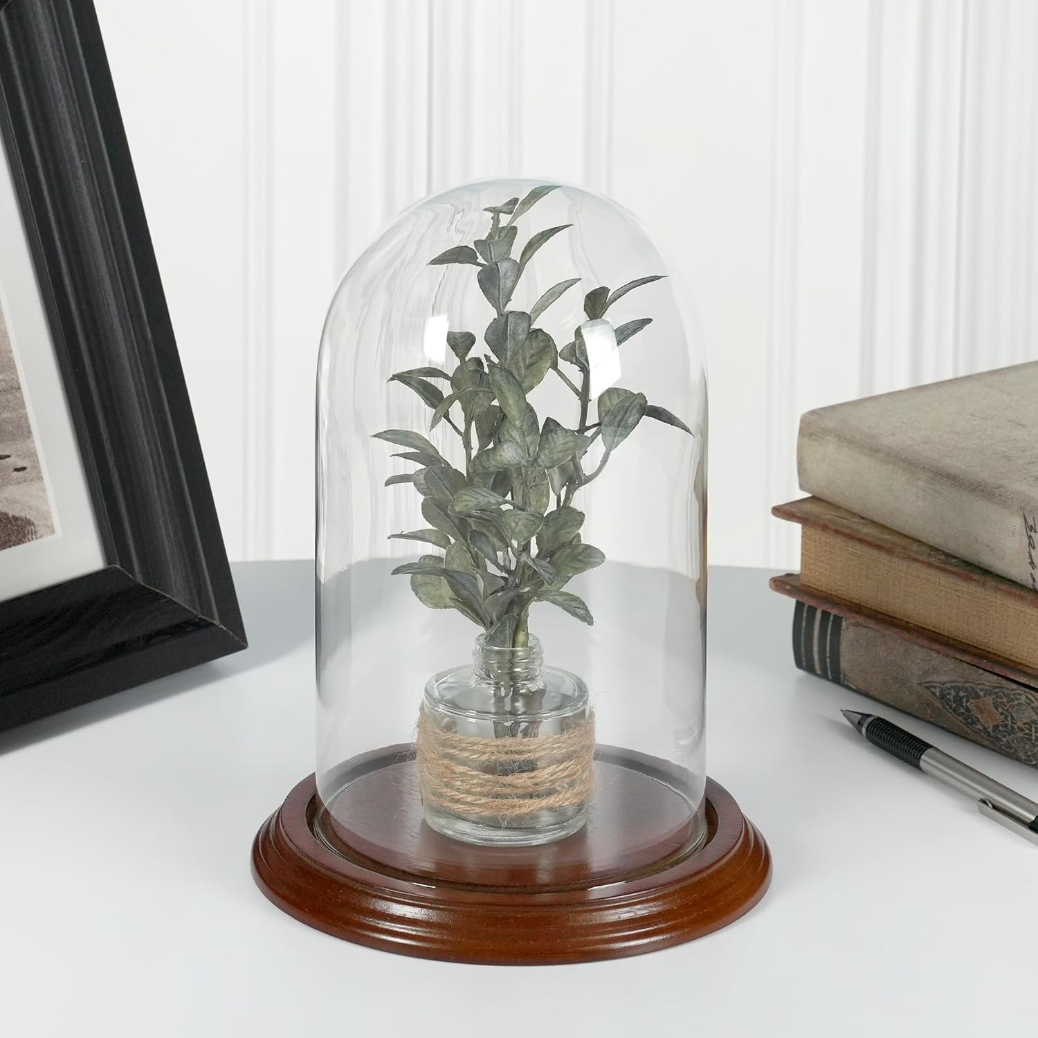 Plymor 4.5" x 8" Glass Display Dome Cloche (Walnut Veneer Base)