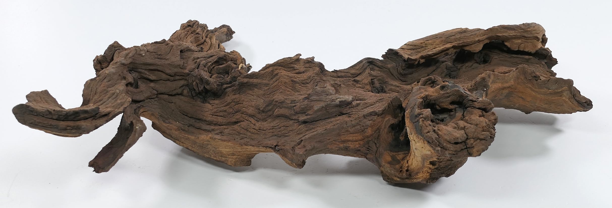 Mopani radice XL // radice in vero legno decorazione per acquario, gamberetti, pesci d'acquario Hard Scape 40 cm - 50 cm (Mangrove Savanna) Aquascaping