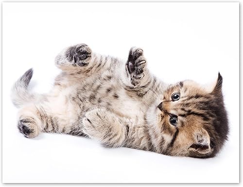 Miniatura 8 de Small World Greetings Playful Kitten Cards 12 unidades  Interior en blanco con sobres  Tamaño A2 (5.5 x 4.25 pulgadas)  Papelería de gato  Para