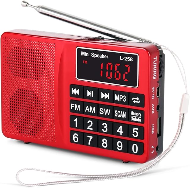 PRUNUS L-258 Small Radio Portable and Mains, AM(MW)/SW/FM Radio Rechargeable with Bass Speaker, Large Button and Display. Stores Stations Automatically.(NO Manual Memory Stations Function)