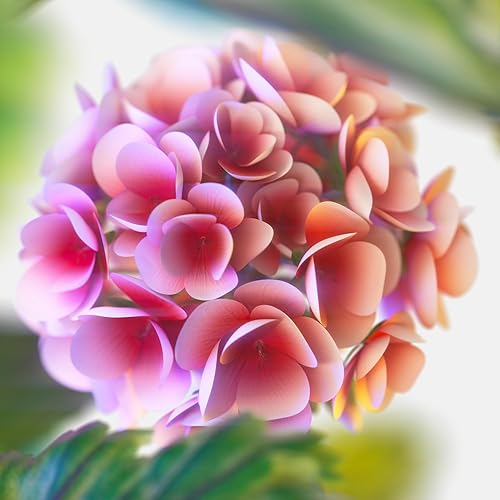 Miniatura 4 de Tommy Hilfiger Tommy Now - Eau de Toilette en espray para hombre, 3.4 oz