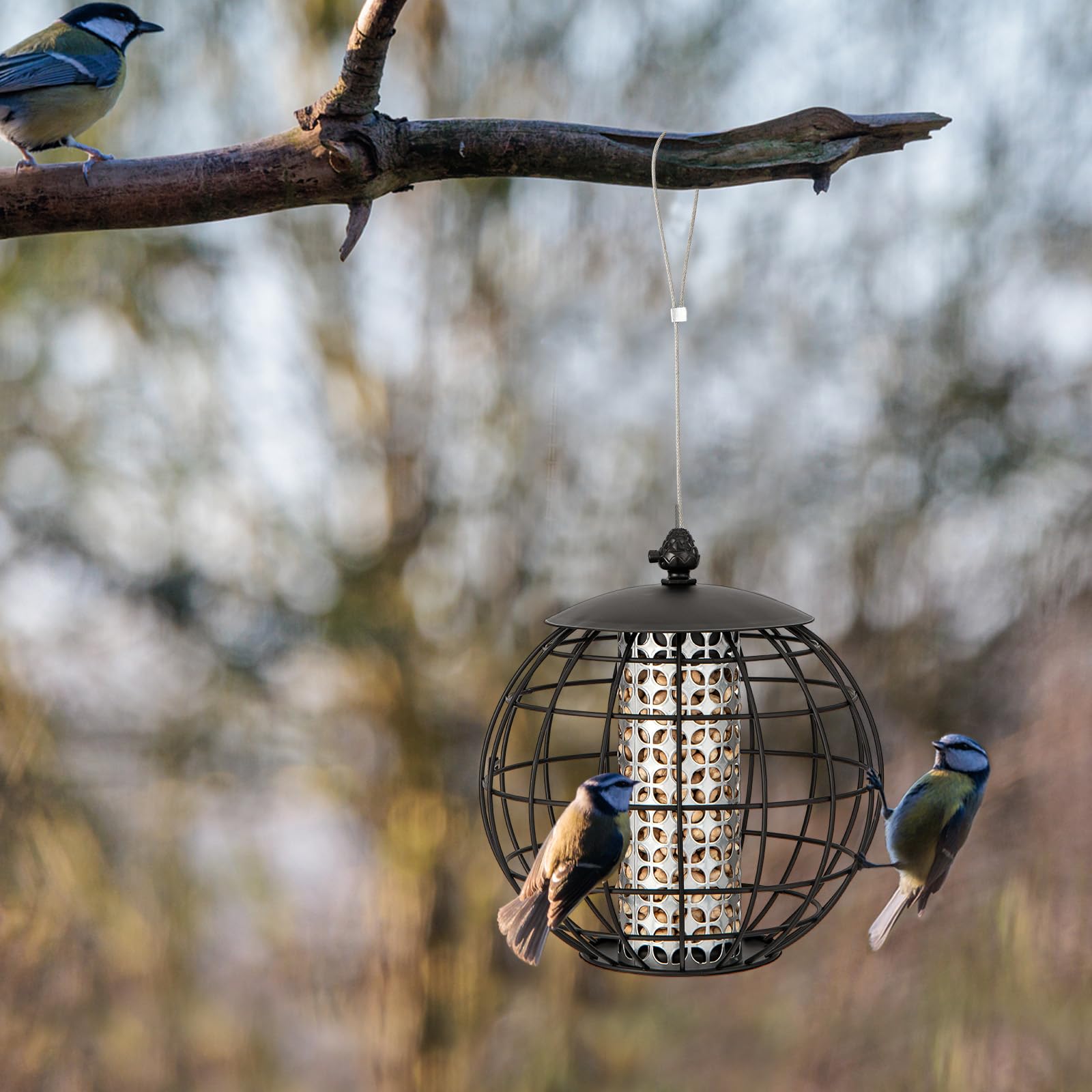 Mangiatoia Per Uccelli Selvatici Da Giardino, Da Appendere, In - Foto 2