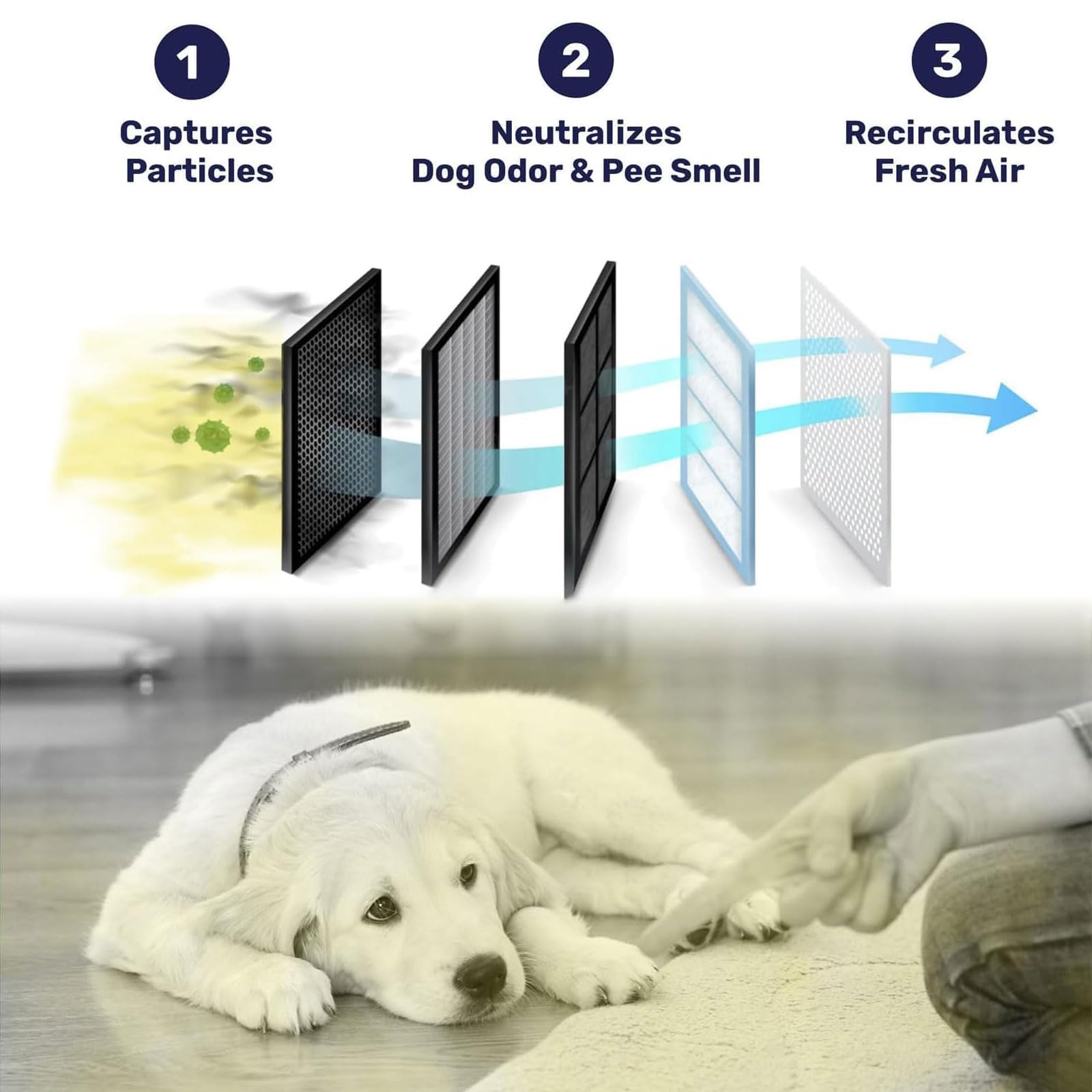 Amazon.com: Puppymothers Pet Air Purifier - Mini Portable Amazon.com: Puppymothers Pet Air Purifier - Mini Portable