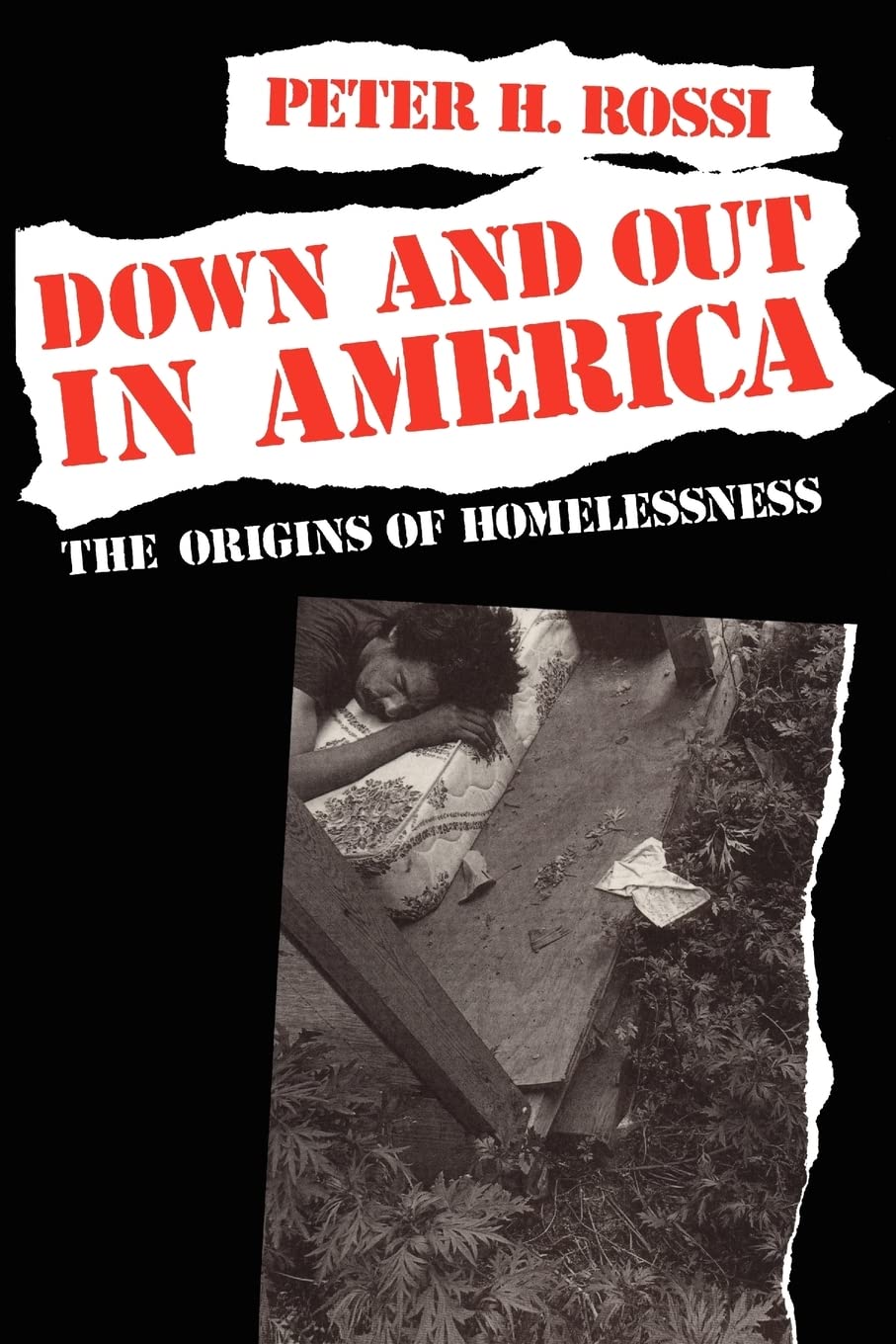 Down and Out in America: The Origins of Homelessness-Peter H. Ro