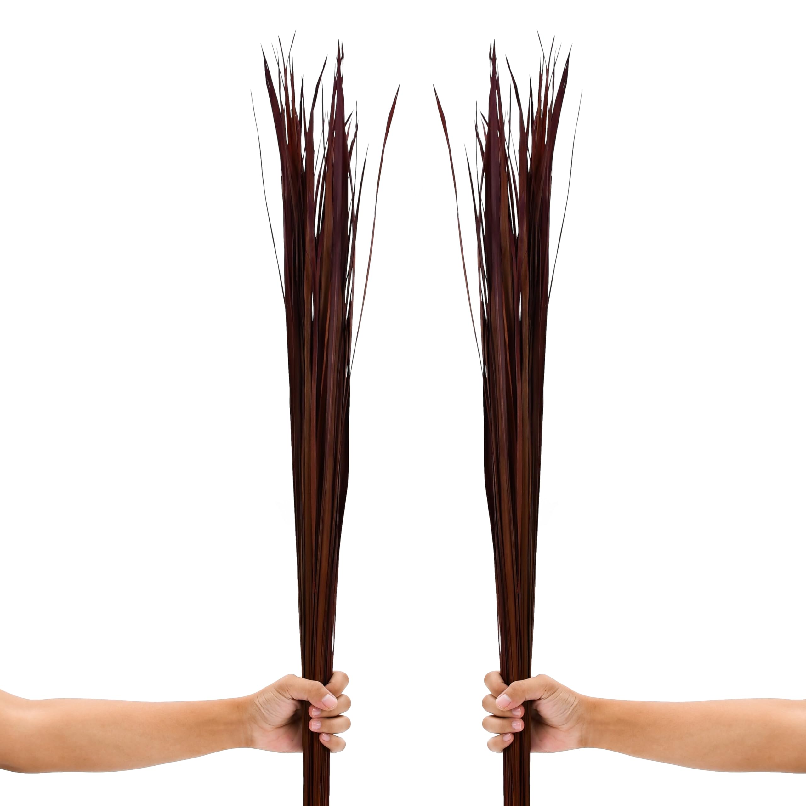 Leewadee Tall Vase Filler, Natural Grass Stems – 2 Bunches of Colored Branches for Vases, Carefully Dried Twigs for Home and Bar Decoration, 45 inches, Bordeaux