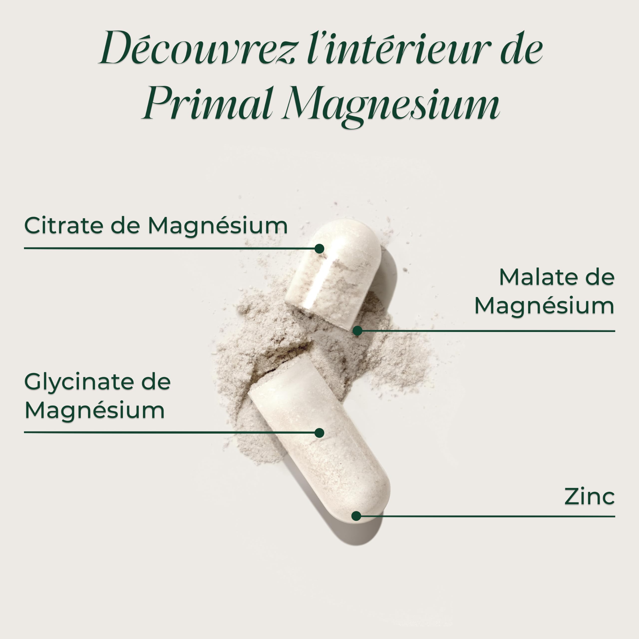 Primal Magnesium - Complément alimentaire quotidien vegan, sans gluten