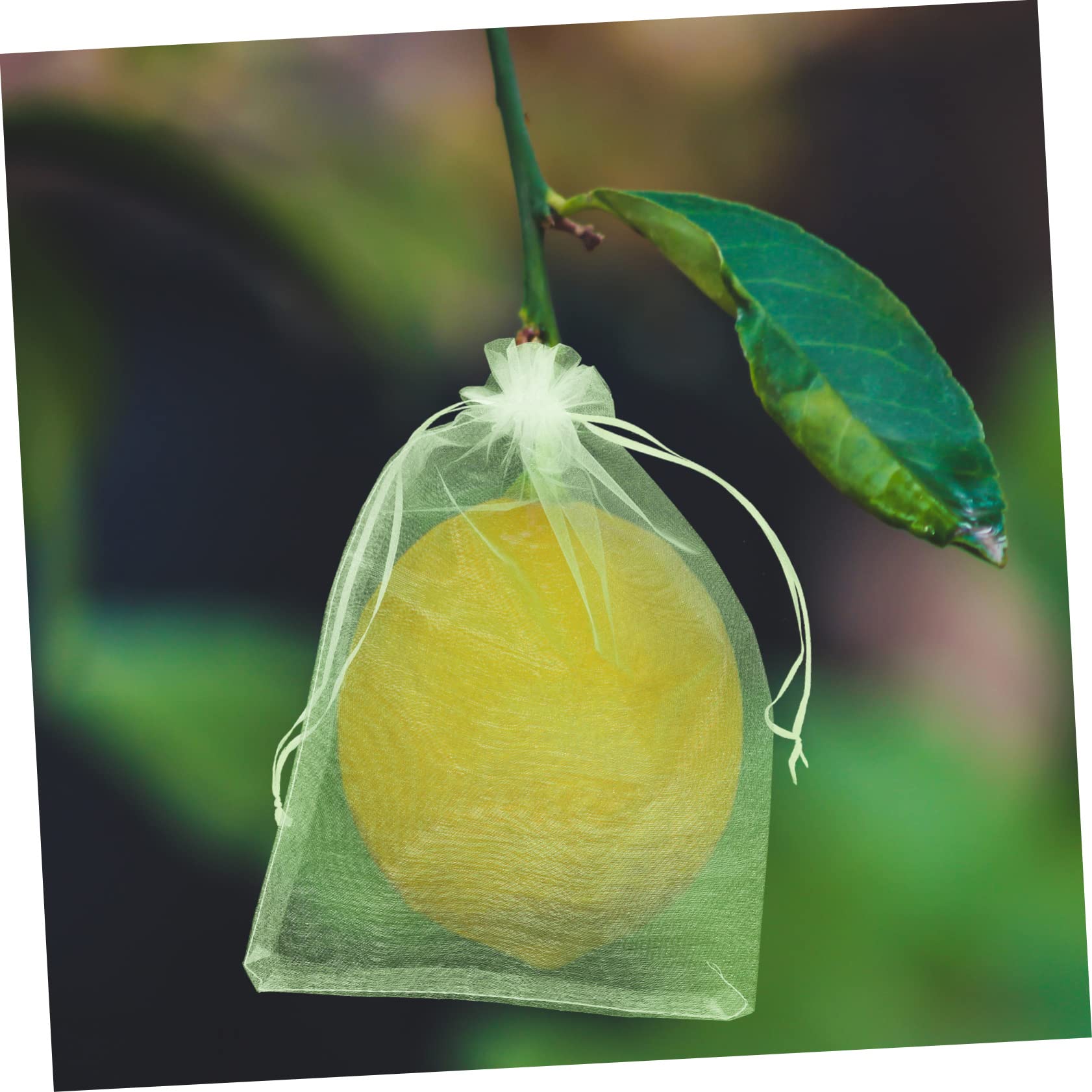 Healvian 100pcs Fruit Protection Mesh Bag Strawberry Plants Fruit Protection Netting Bags Fruit Covers Bags Reusable Mesh Bag Garden Breeding Bag Drawstring Mesh Bag Grape Nursery Bag Green - Image 3