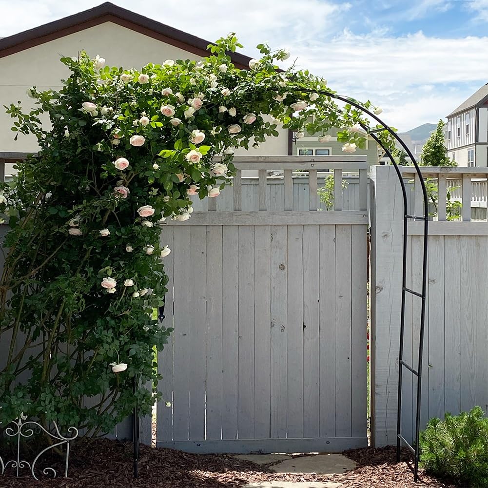 Arco da giardino bianco con struttura in metallo, resistente alle intemperie, pergolato in acciaio, per piante rampicanti, per esterni, arco di rose e decorazione per cerimonie nuziali (W350 x H200 cm