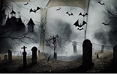 Review Image by Bo Bo