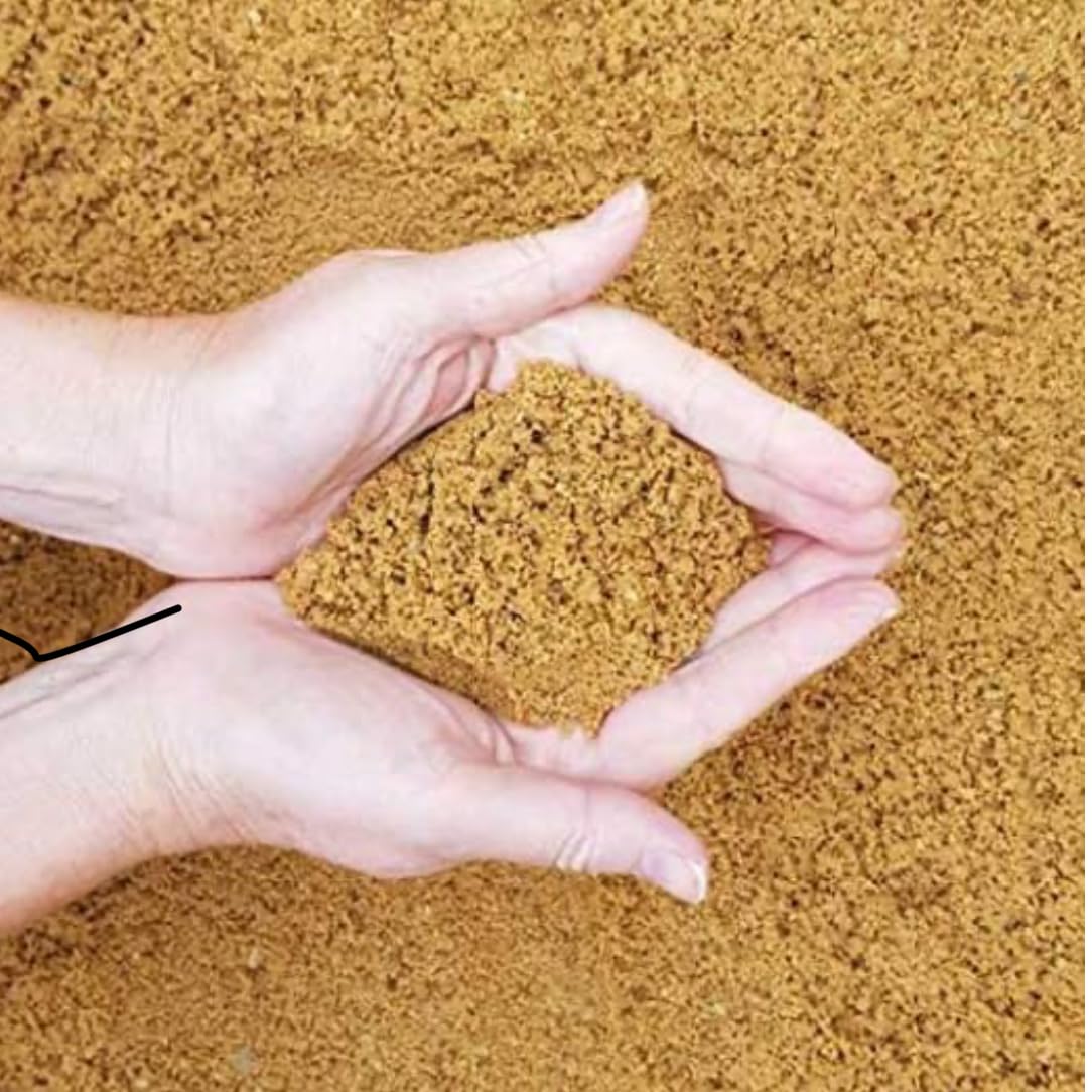 Natural Organic River Sand (10kgs) for Gardening Ideal for Plants (10 kg)