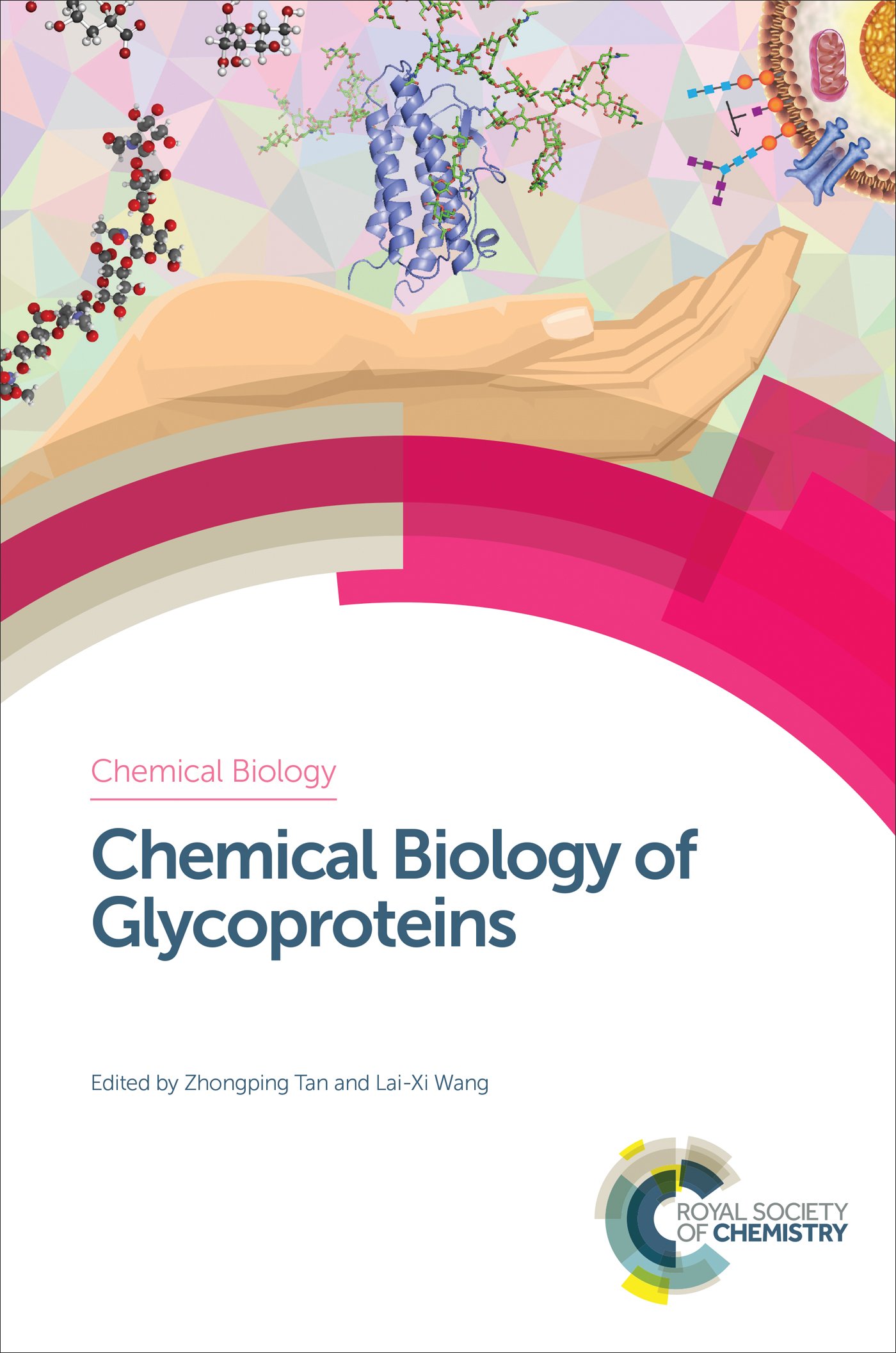 Chemical Biology of Glycoproteins (ISSN) (English Edition)