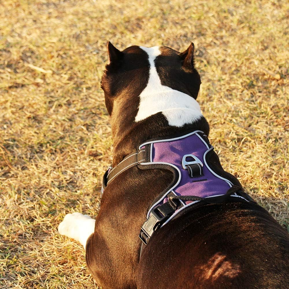 EAVSOW Dog Harness, No Pull Pet Harness with Front & Back 2 Leash Attachments, Adjustable Reflective Dog Vest for Outdoor Walking Training Control (M, Purple)