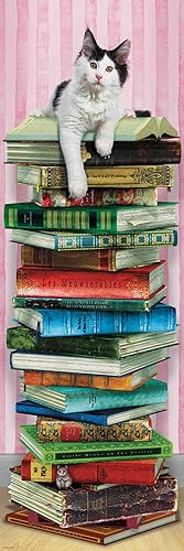 Miniatura 3 de Gato académico