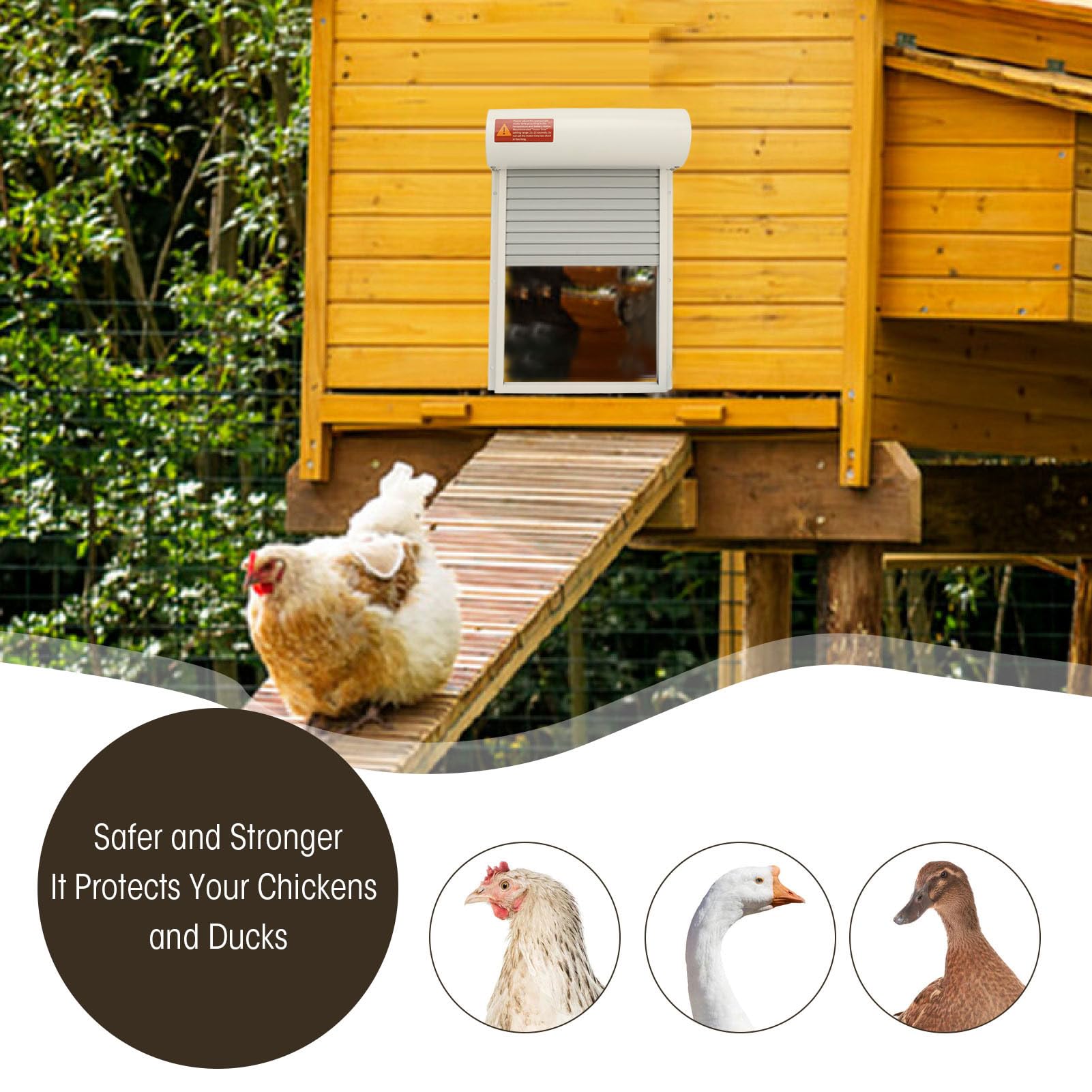 Porte à énergie Solaire en Métal pour Ferme D'oies de Canard, Porte Automatique de Poulailler, Cages à Volet Roulant avec Minuterie, Mode Manuel pour Protéger Les Volailles (White)