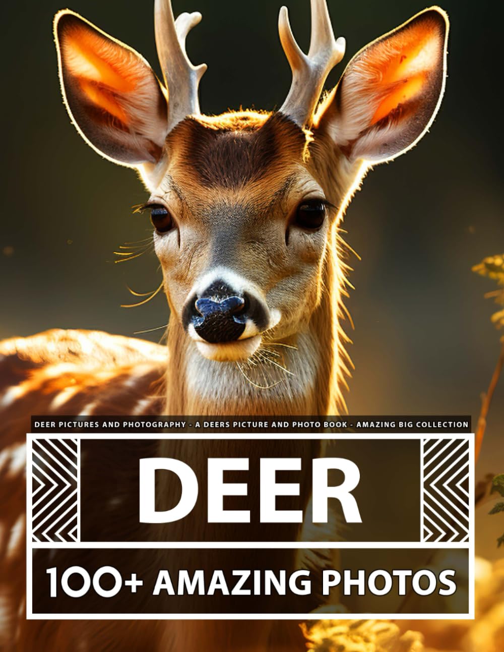 Deer Pictures and Photography - A Deer Picture and Photo Book - Amazing Big Collection: 100+ Amazing Pictures of Deer in this Beautiful Deer photo book