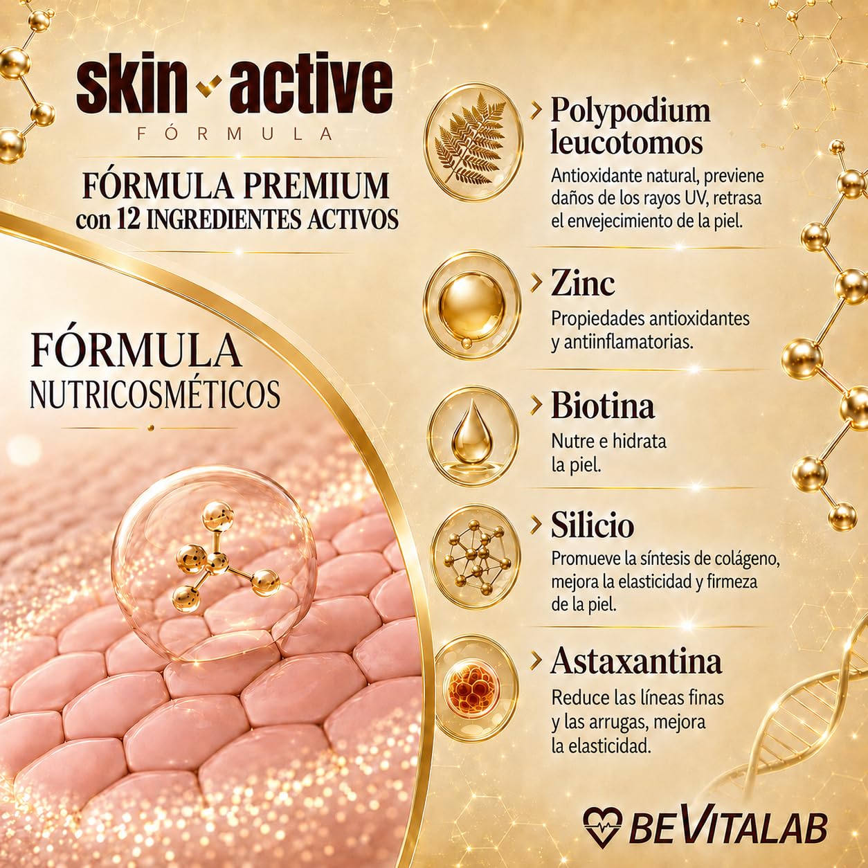 SKIN ACTIVE Suplemento para Piel Joven y Radiante, Antiedad con Colágeno Marino, Ácido Hialurónico, CoQ10, Biotina, Zinc y Vitamina C – Nutricosmetico – Hidratada y Reafirmara – 60 Cápsulas