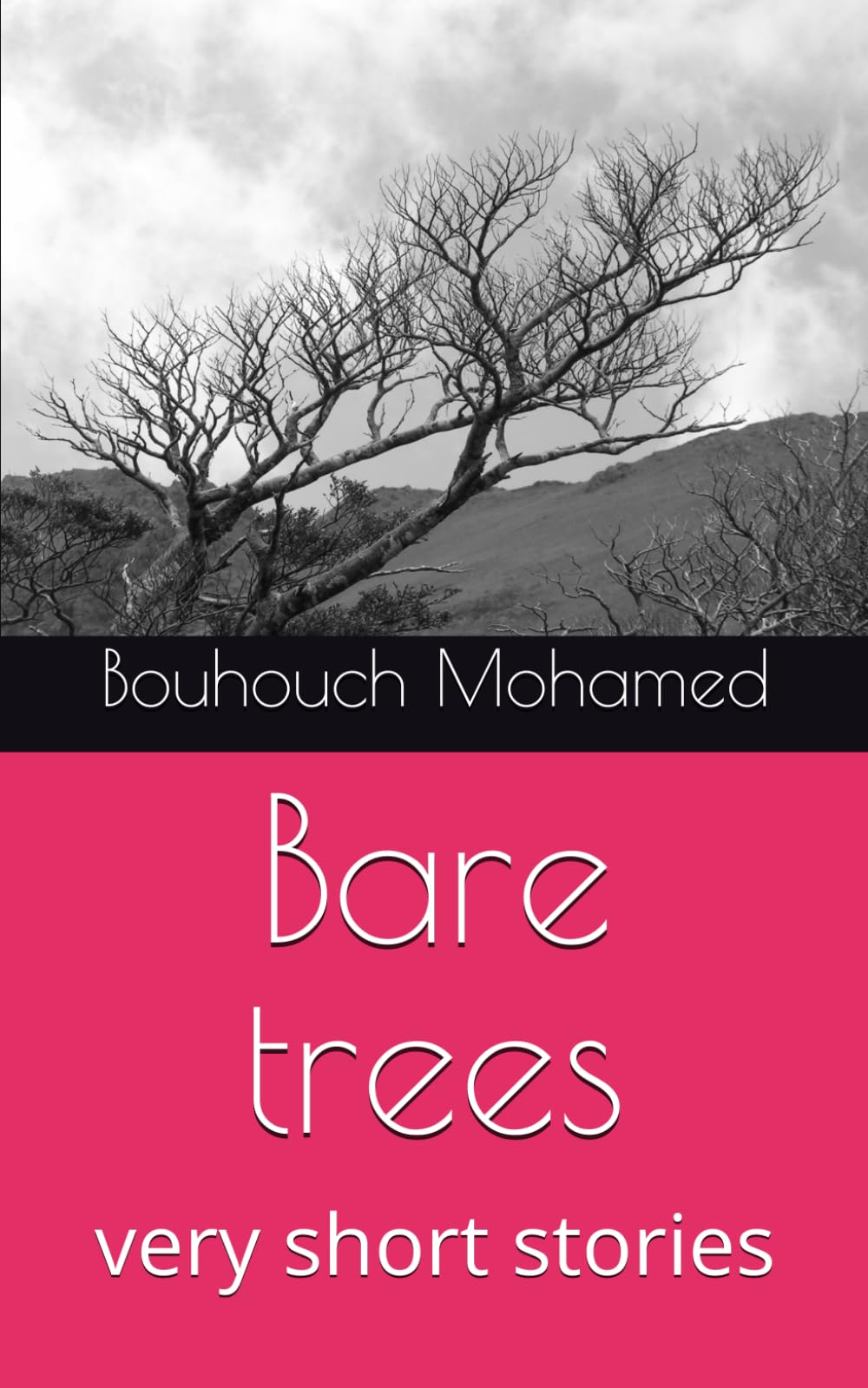 Bare trees: very short stories (Very Short Stories, Fiction,Essence Of Happiness)