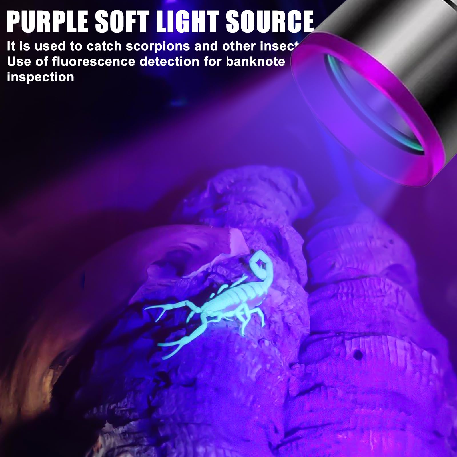 Aicharynic UV Taschenlampe 365nm: Aluminiumlegierung Aufladbar, Schwarzlicht, Haustierurin Detektor, Schmuckdetektion, Fluoreszenzdetektion, mit UV Schutzbrille