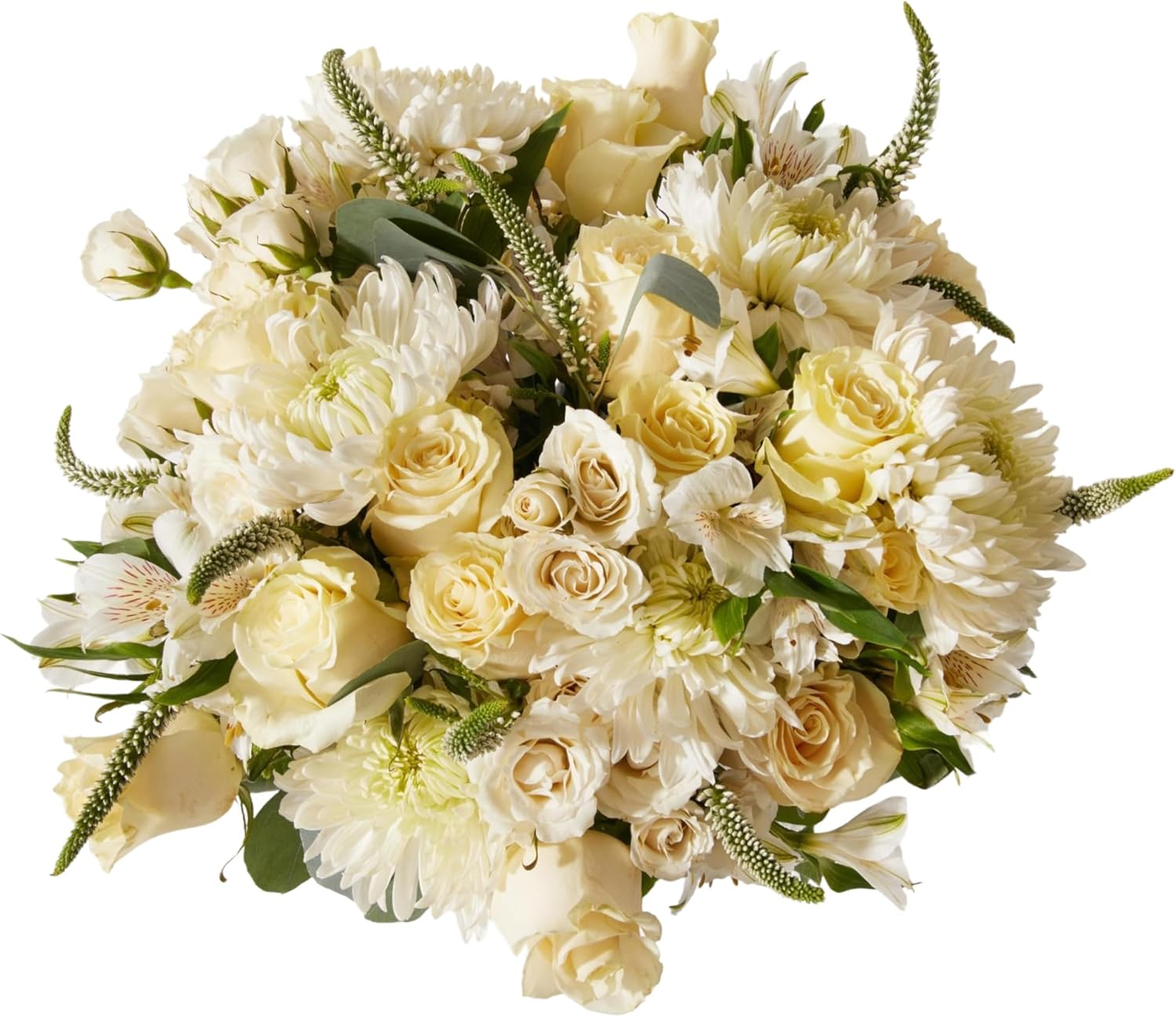 UrbanStems – Double The Dove Bouquet (No Vase) – Fresh Flowers for Delivery – Gift for Birthday, Thank You, Sympathy, Thinking of You, Friendship