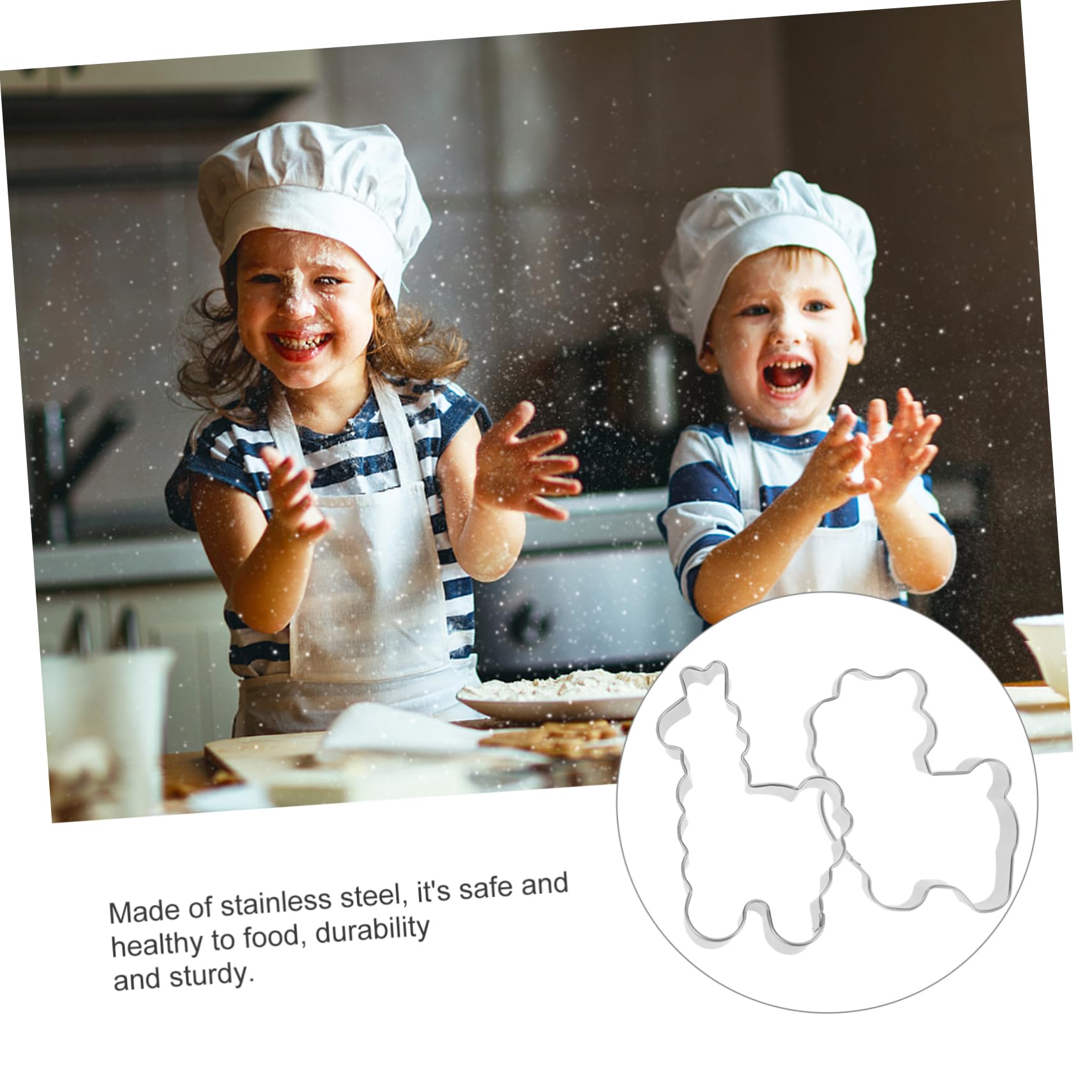 Alpaka Ausstechform 4 Stück Edelstahl Keksform für Fondant