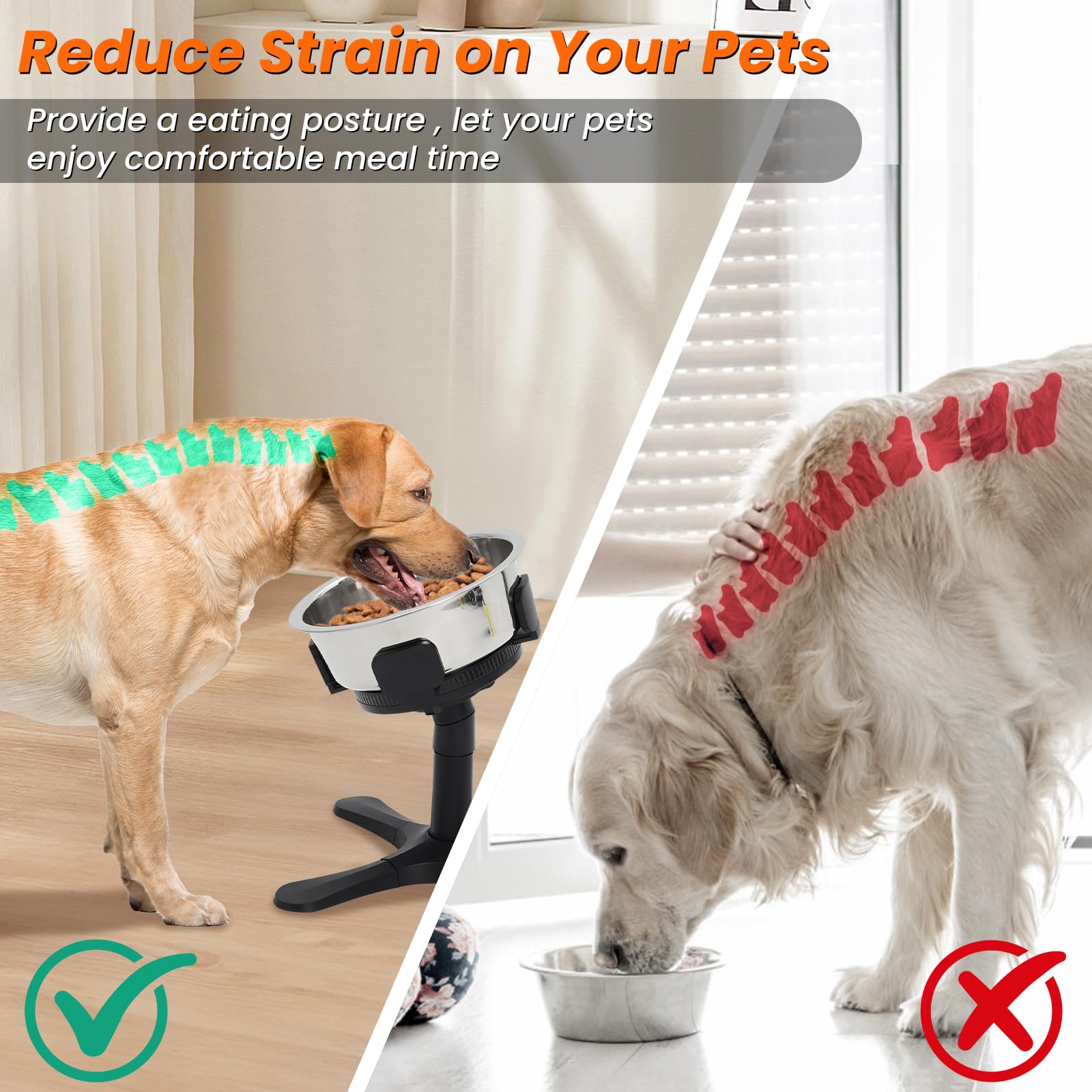 Ciotole Rialzate per Cani Grandi, Porta Ciotole per cani, 3 Altezze & Angoli Inclinazione, Compatibile Con Ciotole In Acciaio Inossidabile & Per cani Medi E Grandi
