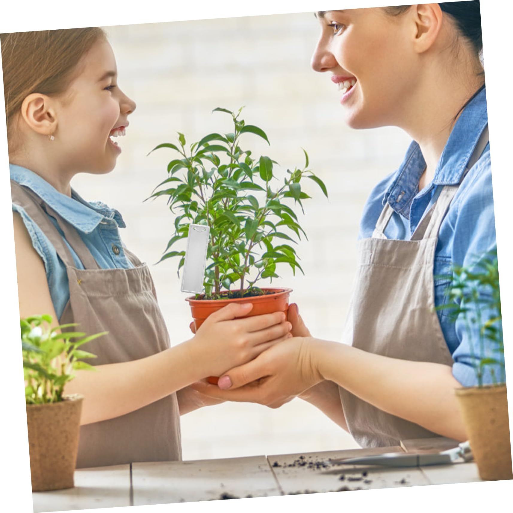BESPORTBLE 5 Ensembles Étiquettes Rondes En Aluminium Art Étiquettes De Jardin Marqueurs D'usine En Aluminium Étiquettes Réutilisables Étiquette De Plante De Jardin En 50 Pièces * 5