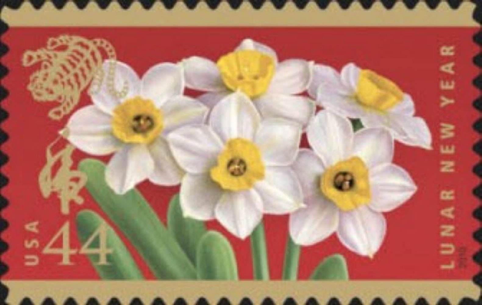 Amazon.com: Year of the Tiger: Narcissus Flowers