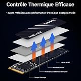 fanxiang SSD 512Go - SSD Interne NVMe M.2 2280 PCIe Gen3 x 4 - Disque Dur Jusqu'à 3000Mo/s - Compatible avec Ordinateur Portable et de Bureau - S501Q - 3