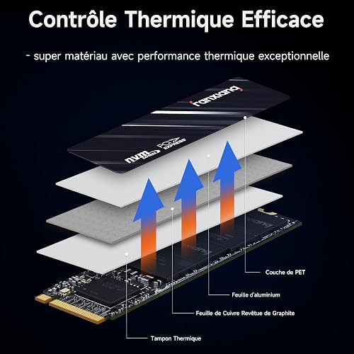 fanxiang SSD 512Go - SSD Interne NVMe M.2 2280 PCIe Gen3 x 4 - Disque Dur Jusqu'à 3000Mo/s - Compatible avec Ordinateur Portable et de Bureau - S501Q - 3