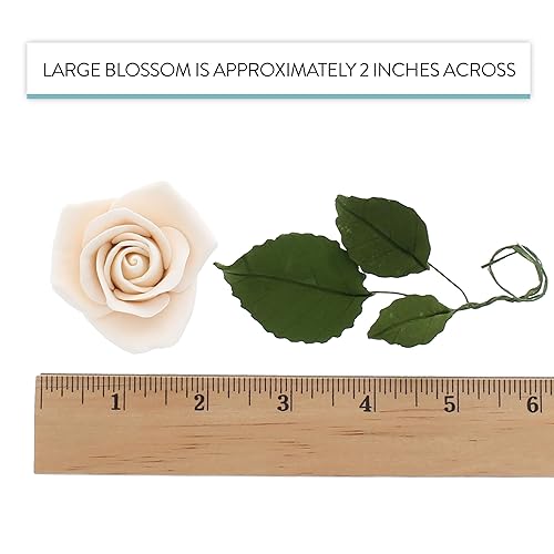 Vista 36 de Global Sugar Art Peace Rose Sugar Cake Flowers Apricot, 5 unidades con hojas por el chef Alan Tetreault albaricoque