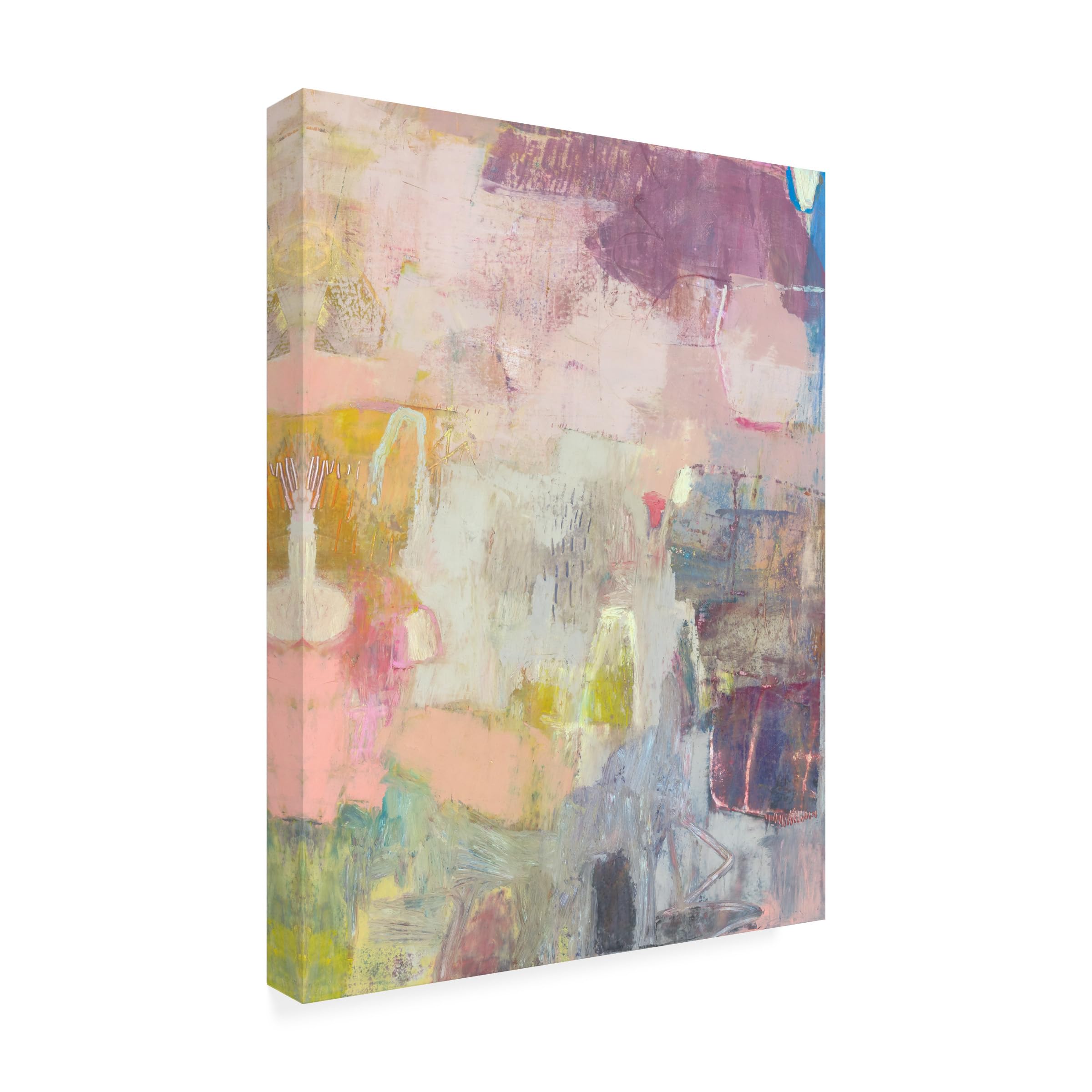 Trademark Fine Art 'Lann I' Canvas Art by Sue Jachimiec 35x47