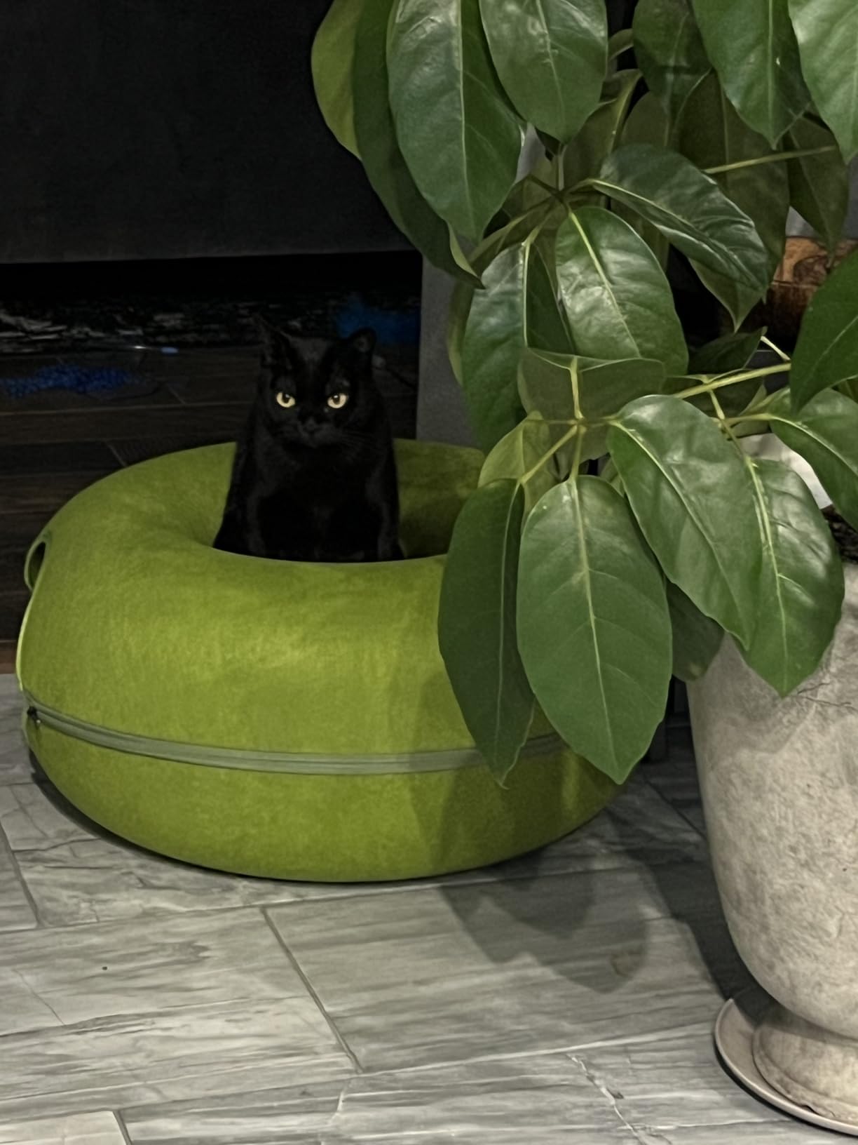 Large Cat Tunnel Bed for Indoor Cats with 3 Toys, Scratch Resistant Donut Cat Bed, Up to 30 Lbs (L 24x24x11, Dark Grey) photo review