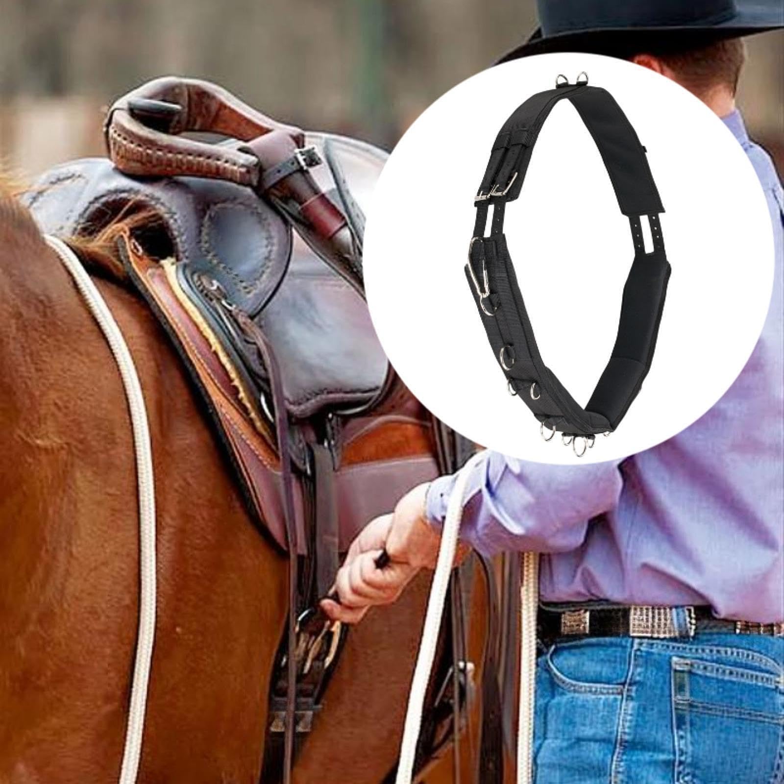 Fenteer Système de Formation Horse Supprocle pour Chevaux avec Matériel