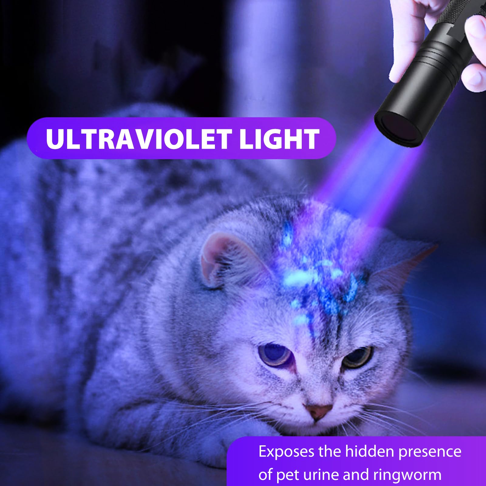 Shkalacar Latarka UV 365 nm 20 W, przenośna ładowalna lampa z baterią litową 18650, mini wykrywacz moczu zwierząt