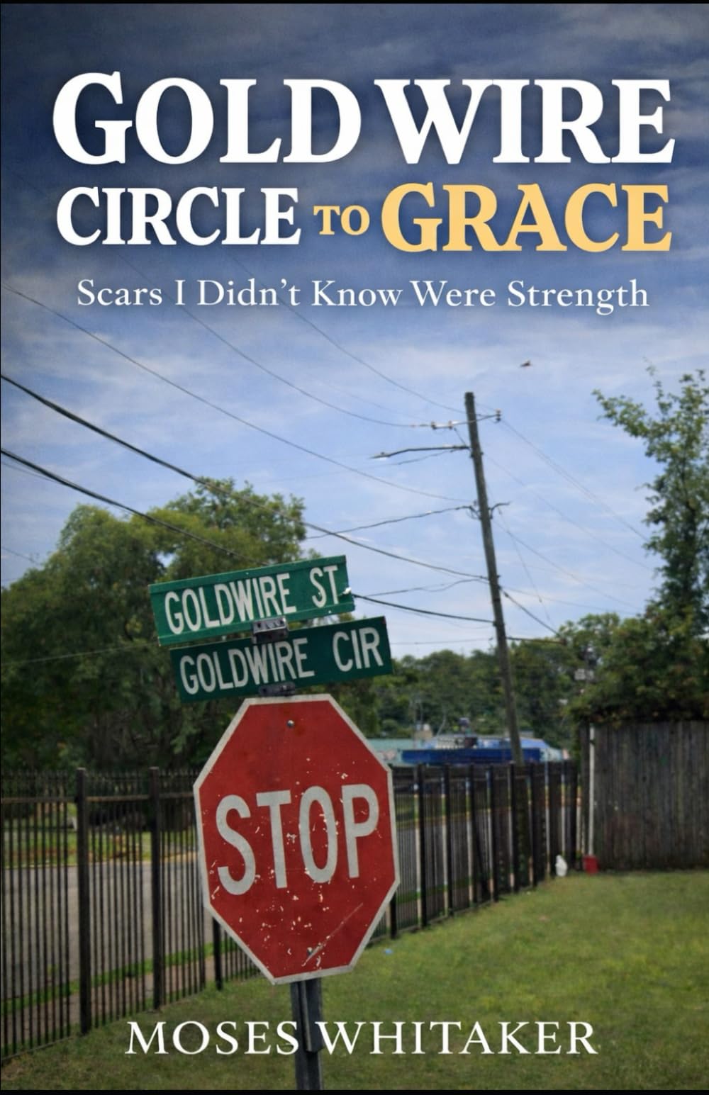 Goldwire Circle to Grace: Scars I Didn't Know Were Strength