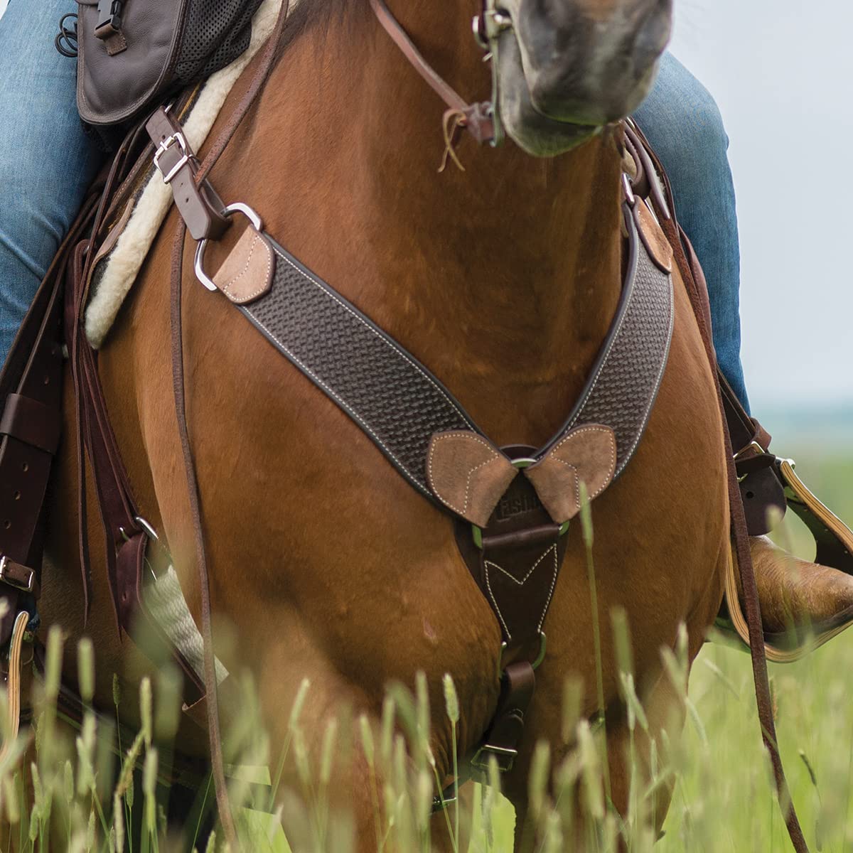 Circle Y Circle Y Tack, BC-COB-Over Neck Trail-Nickle (4283-0011)