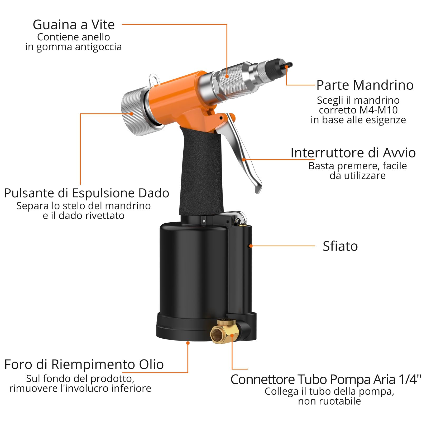 Proster Pistola Pneumatica per Rivetti Nut Set Rivet Nut con 5 Mandrini Metrici M4-M10 Forza di Trazione 1400KGF Valvola di Regolazione della Pressione Attrezzo per Fai da Te e Officina con Custodia