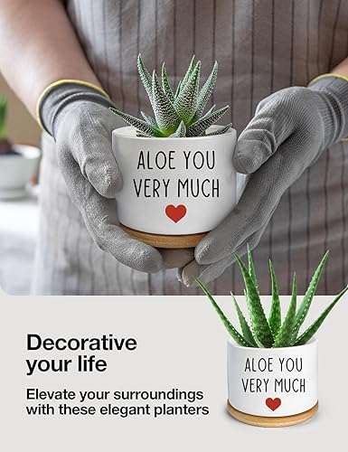 Miniatura 3 de You Very Much mini maceta de cerámica blanca grabada para suculentas, aloe y cactus, macetas divertidas para plantas de interior para el hogar,