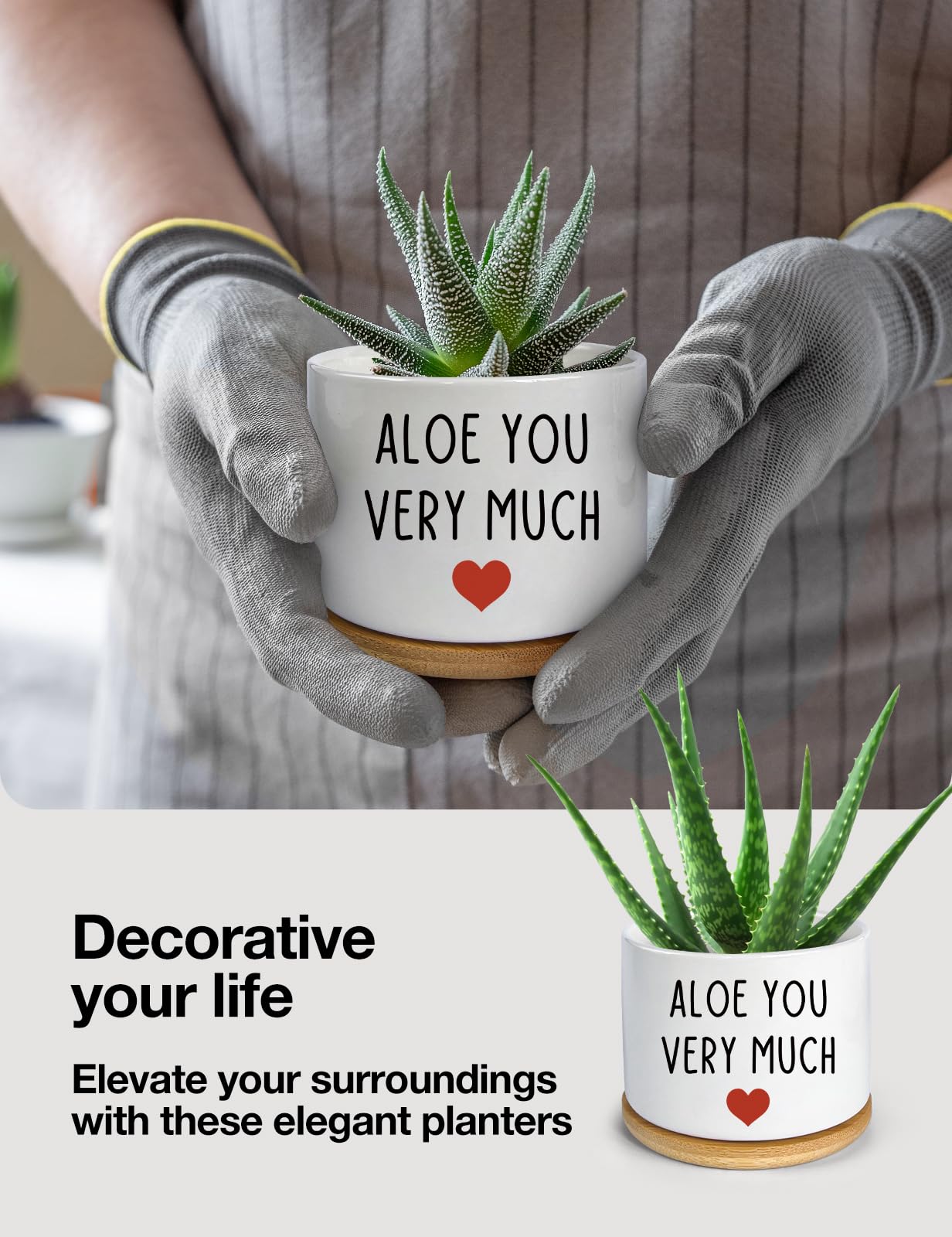 You Very Much- Maceta de cerámica blanca grabada para suculentas y cactus de aloe, divertidas macetas de interior para el hogar, oficina, alféizar de ventana, regalo de 3.8 pulgadas