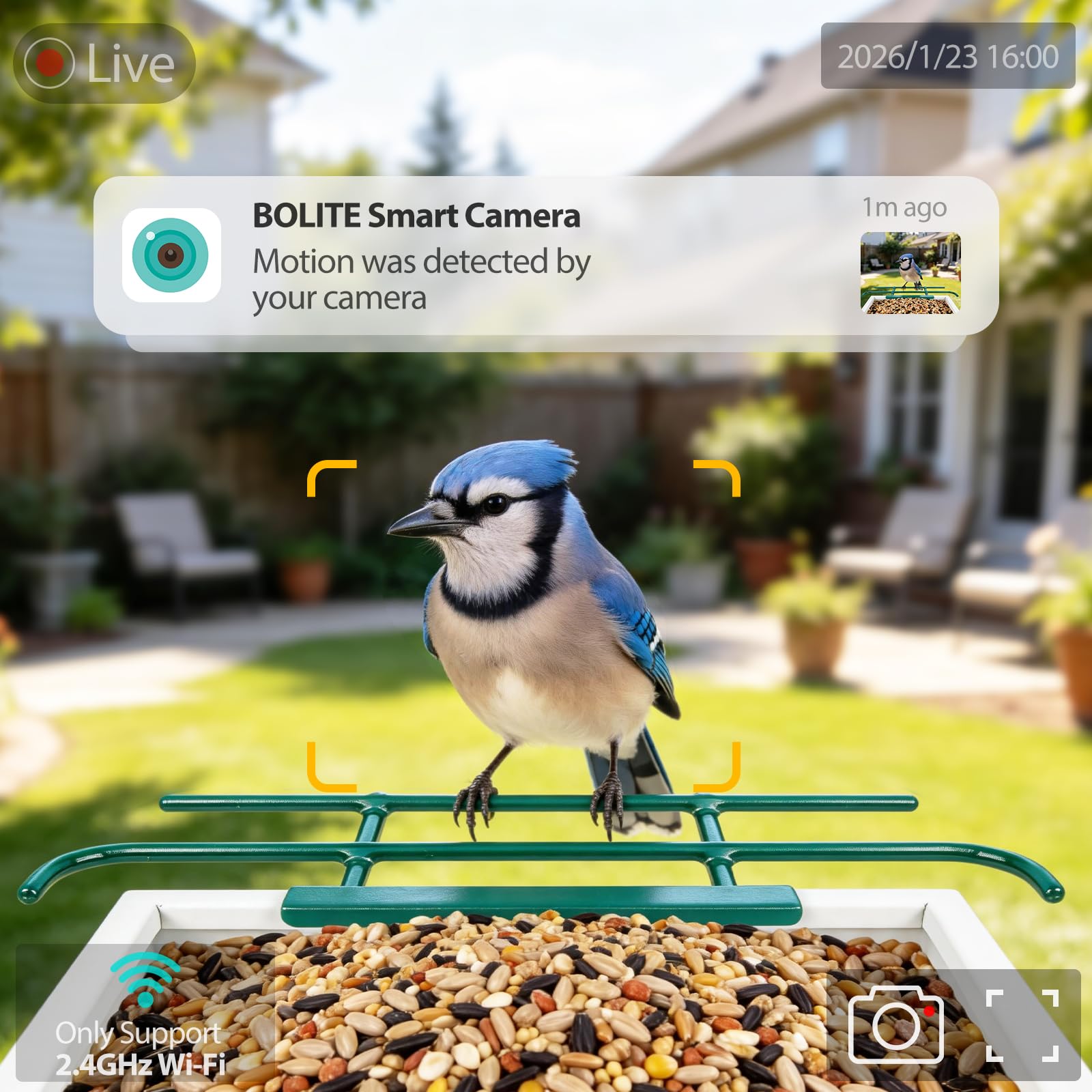 BOLITE Vogelfutterstation mit Kamera, solarbetrieben, 2,5 K HD, intelligente Vogelfutterspender für den Außenbereich, KI-Identifizierung von Arten, automatische Aufzeichnung von Videos im Hinterhof