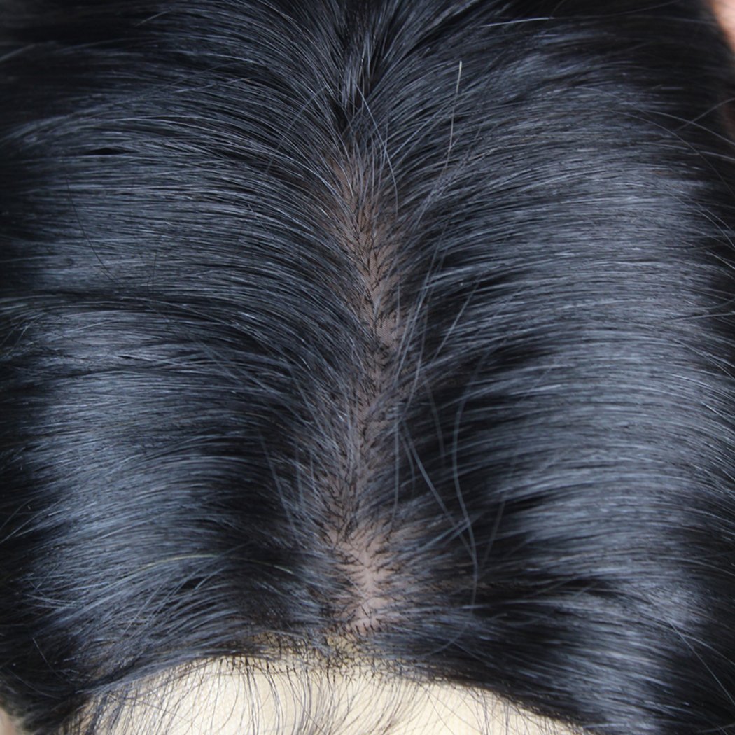 Enoya Human Virgin Hair Full Lace Wigs/Silk Top Full Lace Wigs Brazilian Silky Straight Hair Lace Wig with Baby Hair For African Americans (10" silk top wig, #1)