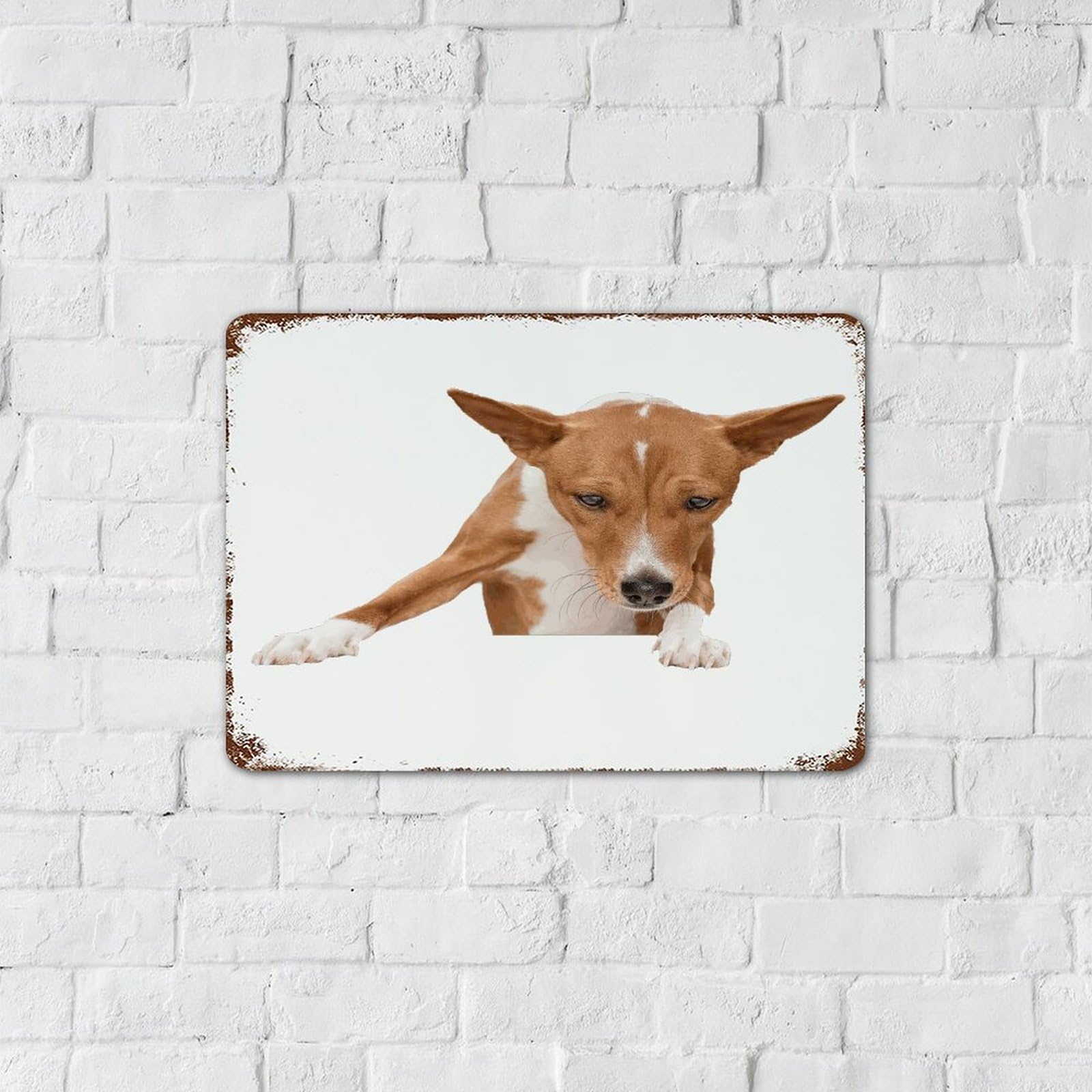 Basenji - Targa rustica in metallo con cane da uomo, in alluminio, decorazione da parete, per negozio, sala da pranzo, garage, 25,4 x 35,5 cm