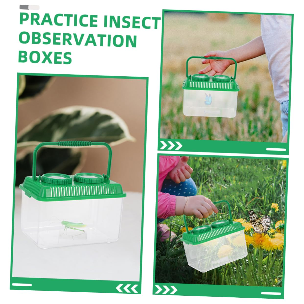 Cabilock 4 Sätze Beobachtungsbox Für Insekten Für Überwachung Halten Kollektor -fangset Insektenfänger Goldfischgreifer Explorer Kit Green Acryl 2 Stück * 4