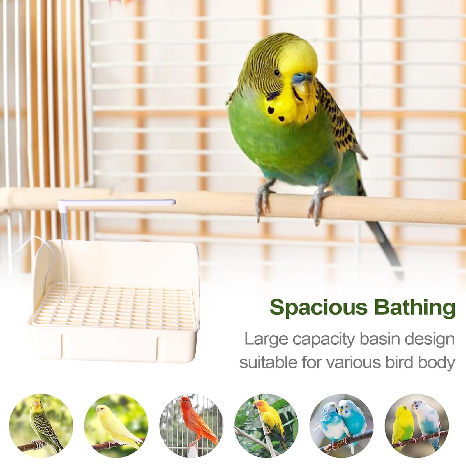 Bañera Automática para Pájaros,Baño Automático de Loros,Bañeras para Pájaros,Bañera de Ducha para Pájaros,Baño de Pájaros para Jaula,para Agapornis Gorriones Canarios Baño