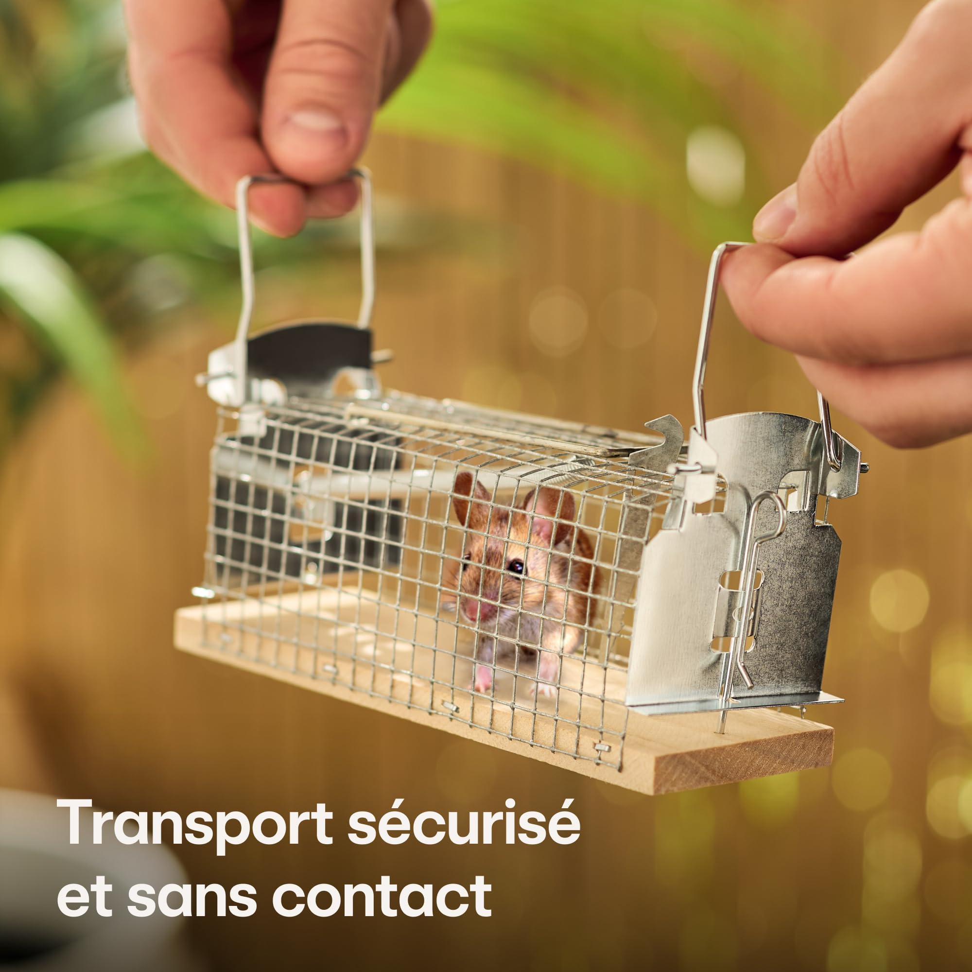 Praknu Piège à Souris Vivant - 4 Pièces - Respectueux des Animaux - Réutilisable - Fabriqué à Partir de Bois FSC® Écologique - Prêt à l'emplo