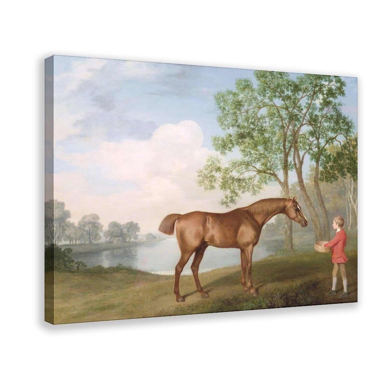 DFJyjFGJJ George Stubbs,Pumpkin with A Stable-Lad Poster Print for Teen Boys Room Wall Art Canvas Painting 24" L X 36" W