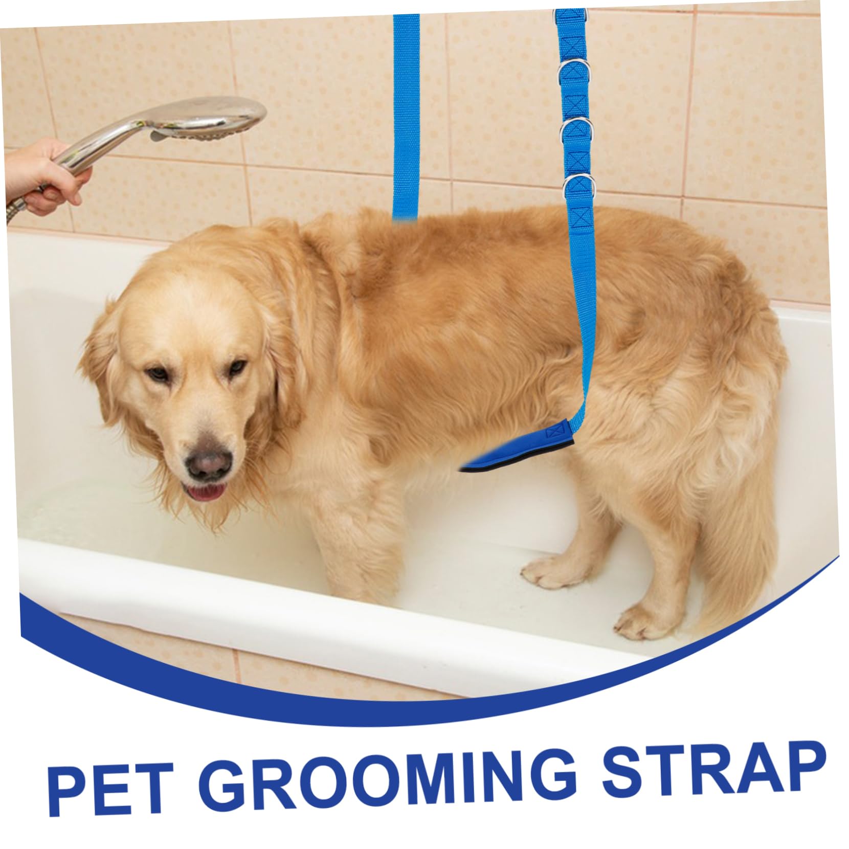 Sosoport 12piezas Mesa De Grooming para Mascotas Cuerda Ajustable Kit para Baño y Cuidado Accesorios De Peluquería para Mascotas