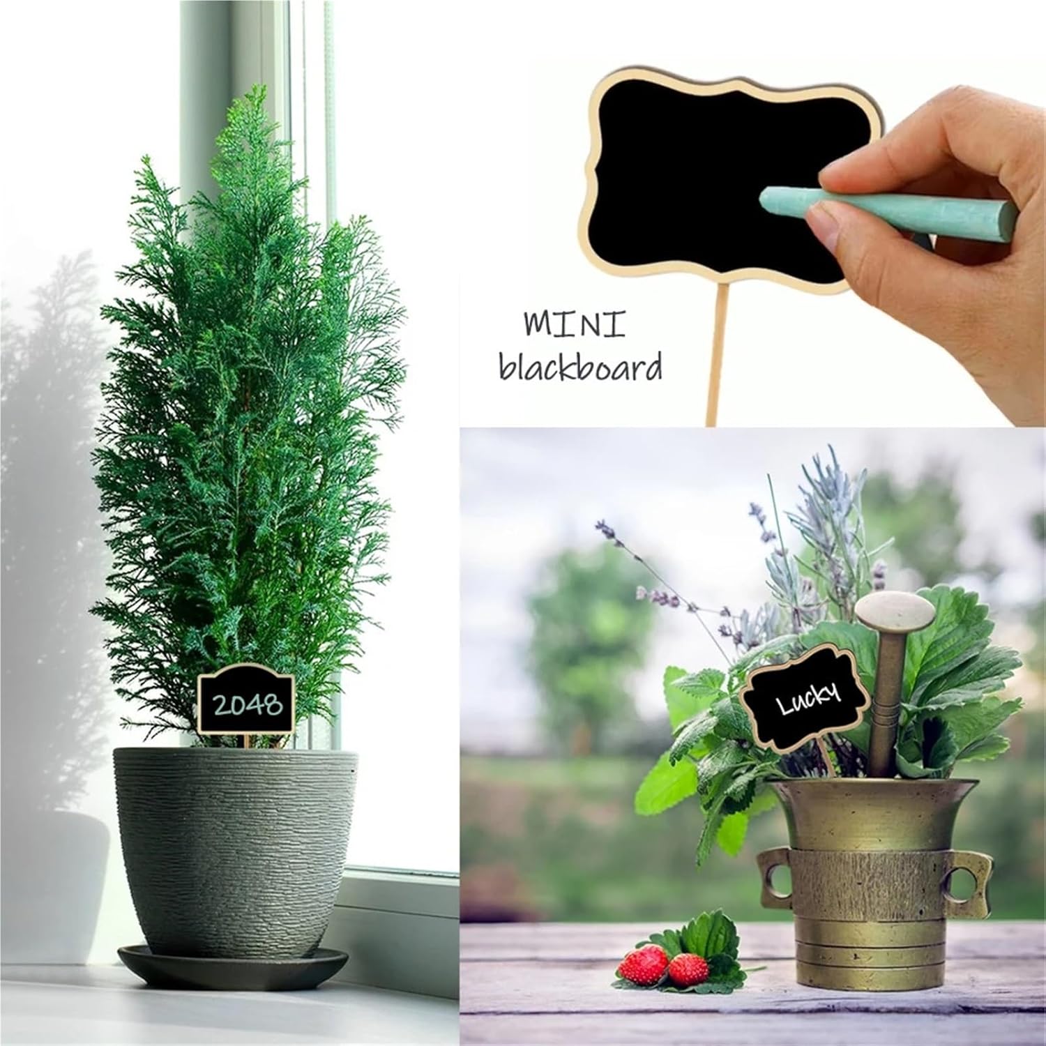 Wooden Plant Labels 30PCS Wood Mini Chalkboard Sign with Stake Garden Plant Label Black Board Decorative Tag Seed Flower Pot Marker(ColorN)