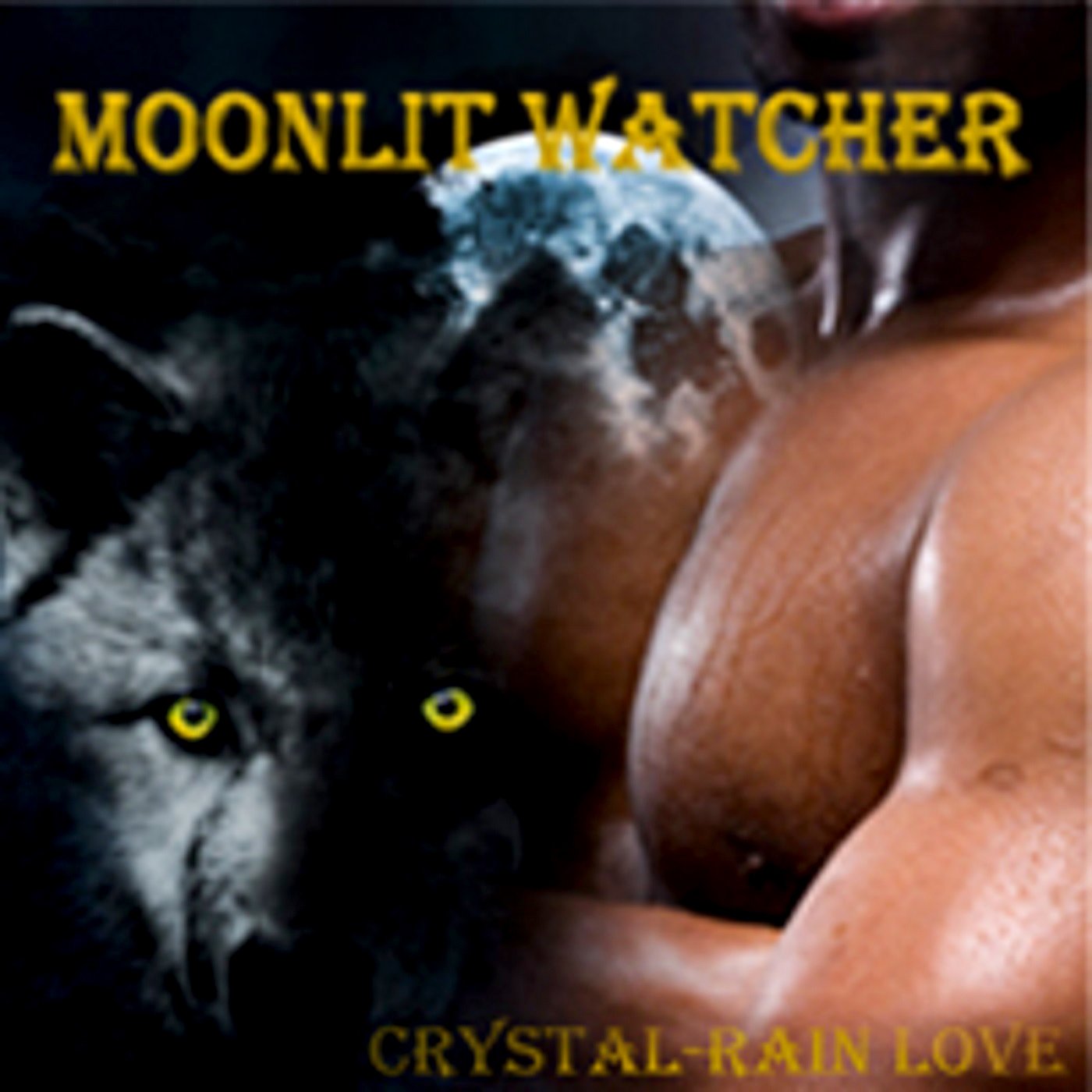 Cover art for Moonlit Watcher